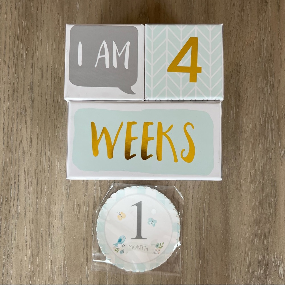 Baby Aspen Milestone Blocks & Stickers